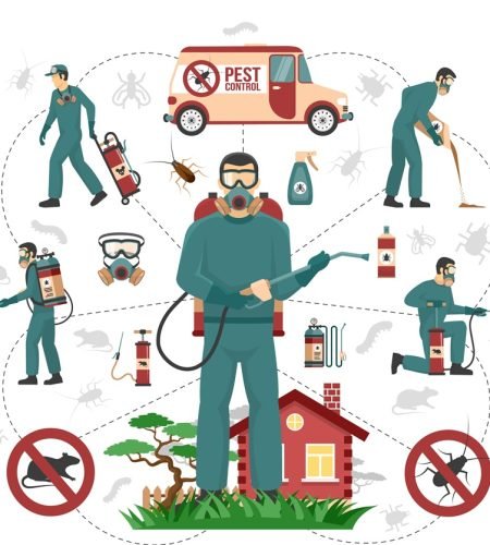 Professional pest control services experts handling all aspects of pest removal flat infographic advertisement poster vector illustration
