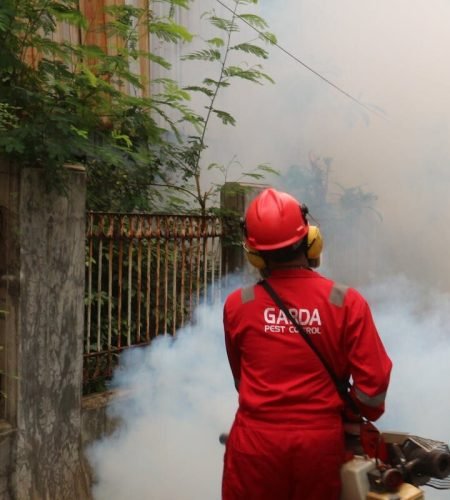 A pest control worker fogging in an outdoor space with smoke to eliminate pests.